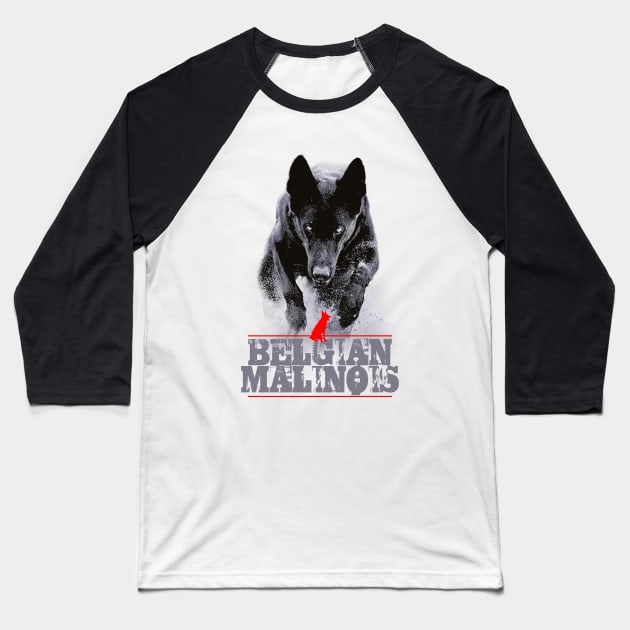 Belgian Malinois Baseball T-Shirt by Toby Wilkinson